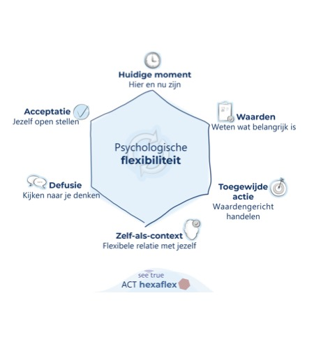 de ACT hexaflex met 6 pijlers voor het vergroten van je psychologische flexibiliteit, namelijk: waarden, toegewijde actie, zelf-als-context, defusie, acceptatie en huidige moment.